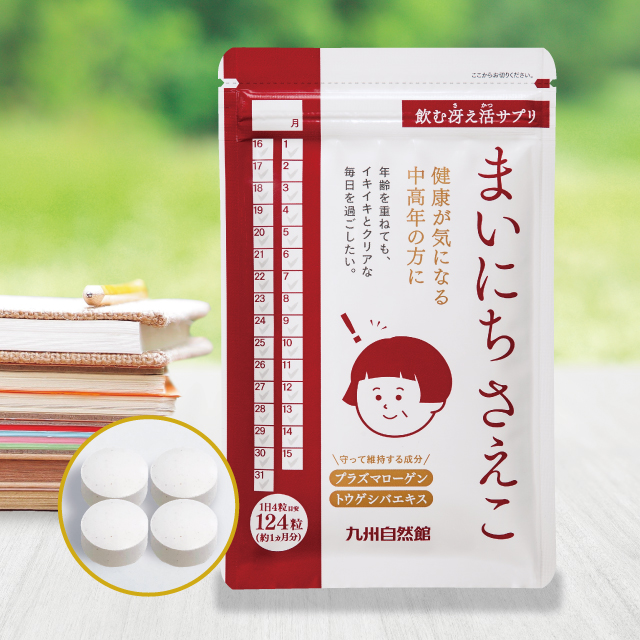 まいにちさえこ