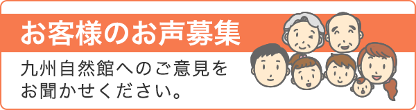 お客様の声募集