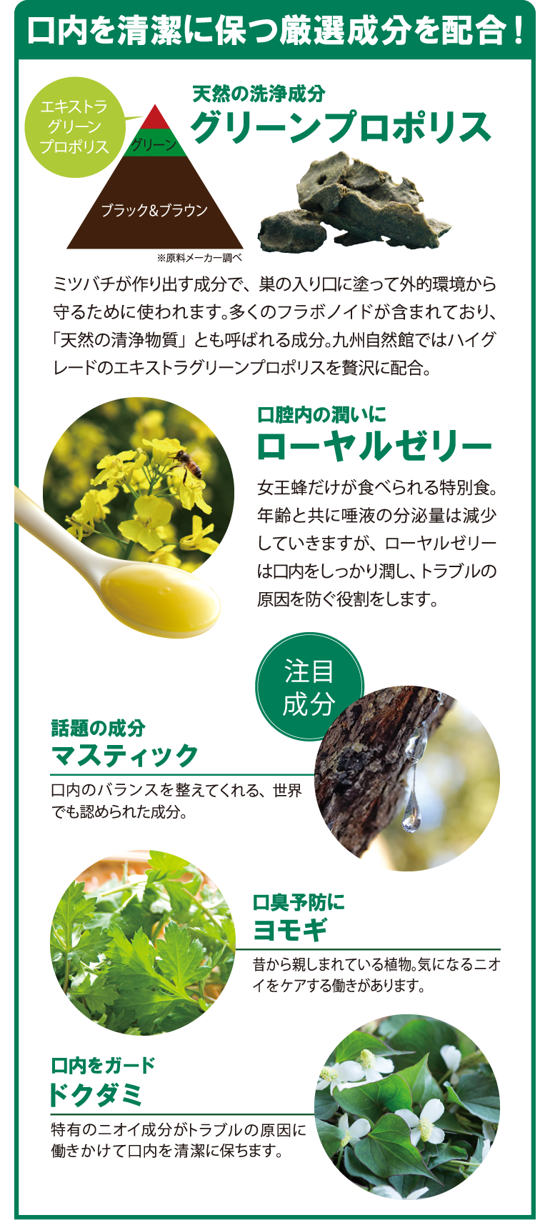 グリーンプロポリスマウスウォッシュの通販|九州自然館