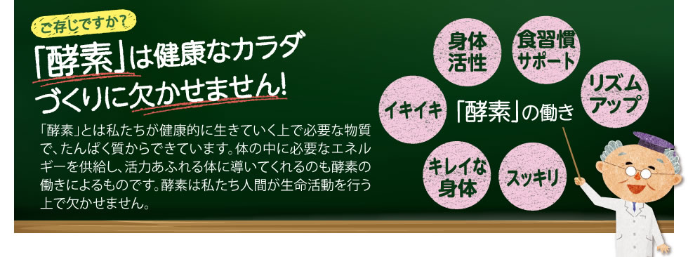 ご存知ですか？「酵素」は健康なカラダづくりに欠かせません！「酵素」とは私たちが健康的に生きていく上で必要な物質で、たんぱく質からできています。体の中に必要なエネルギーを供給し、活力あふれる体に導いてくれるのも酵素の働きによるものです。酵素は私たち人間が生命活動を行う上で欠かせません。