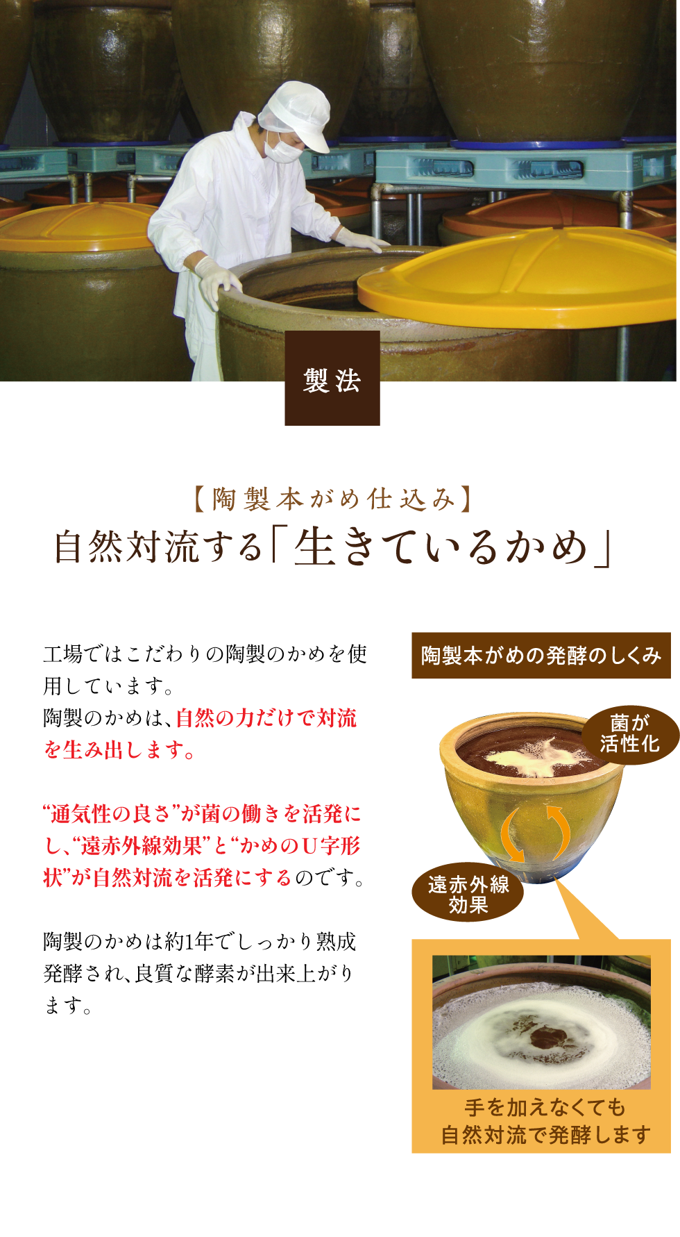 工場ではこだわりの陶製のかめを使用しています。陶製のかめは約1年でしっかり熟成発酵され、良質な酵素が出来上がります