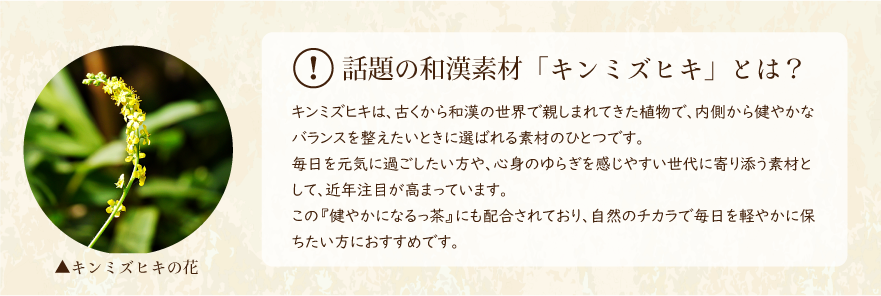 話題の和漢素材キンミズヒキとは、古くから和漢の世界で親しまれてきた植物で、内側から健やかなバランスを整えたいときに選ばれる素材のひとつです。
毎日を元気に過ごしたい方や、心身のゆらぎを感じやすい世代に寄り添う素材として、近年注目が高まっています。
この『健やかになるっ茶』にも配合されており、自然のチカラで毎日を軽やかに保ちたい方におすすめです。