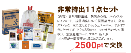 ビックトートバッグ 2,000ptで交換