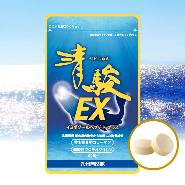 清駿EX