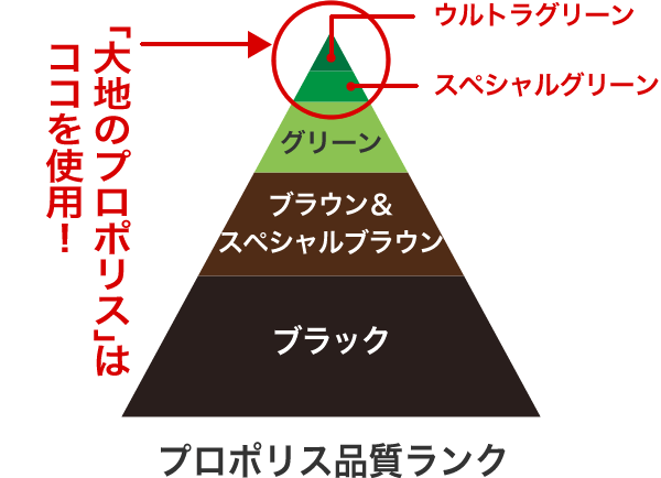 大地のプロポリス